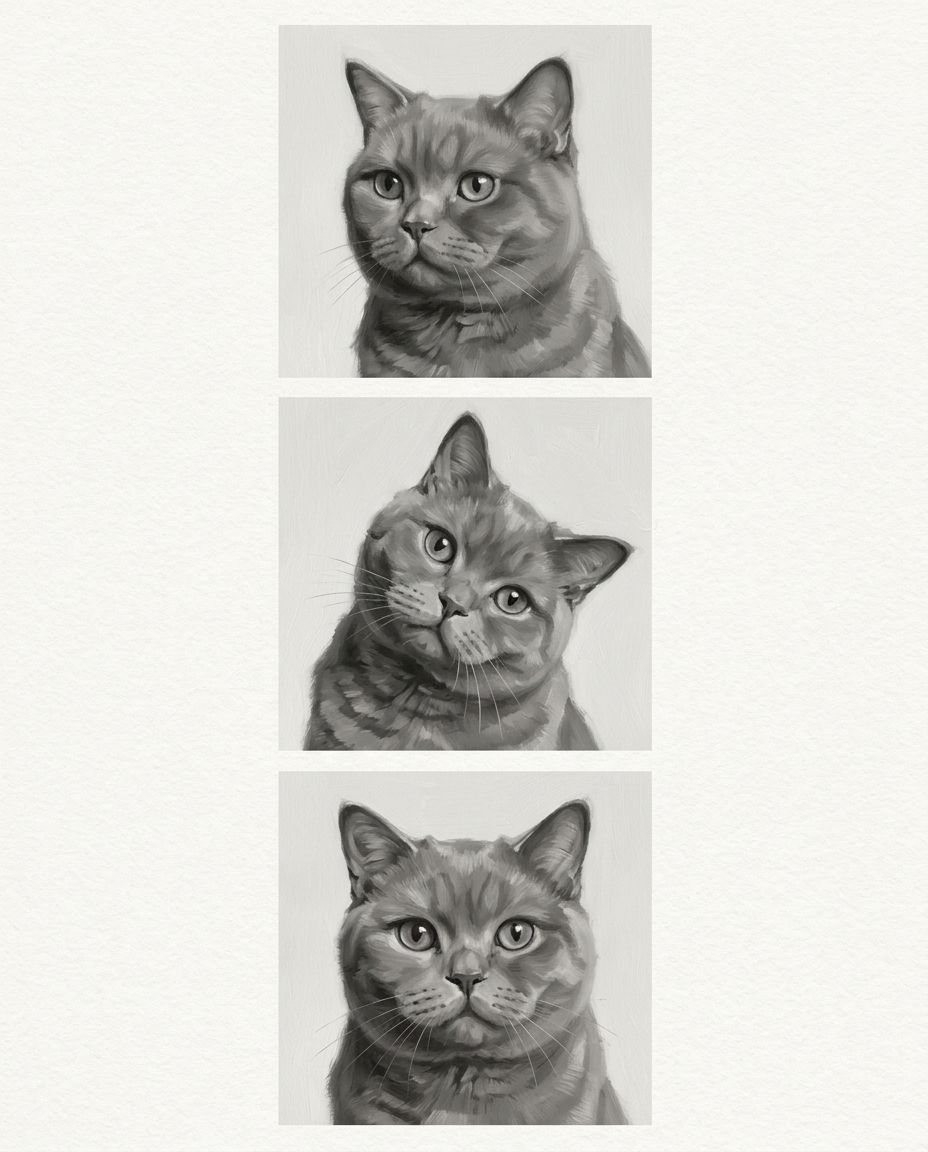 The Trilogy 7