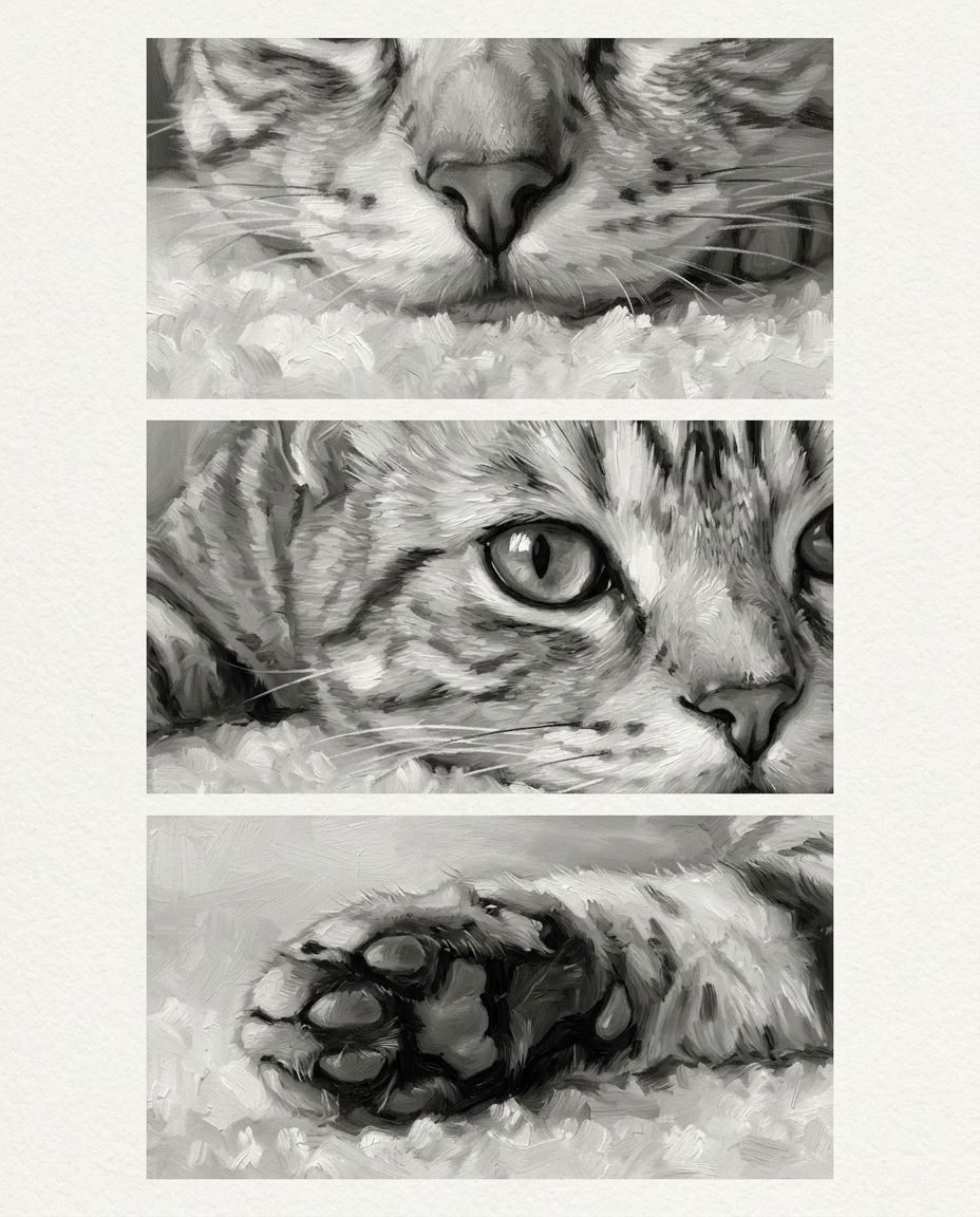 Close Ups 2