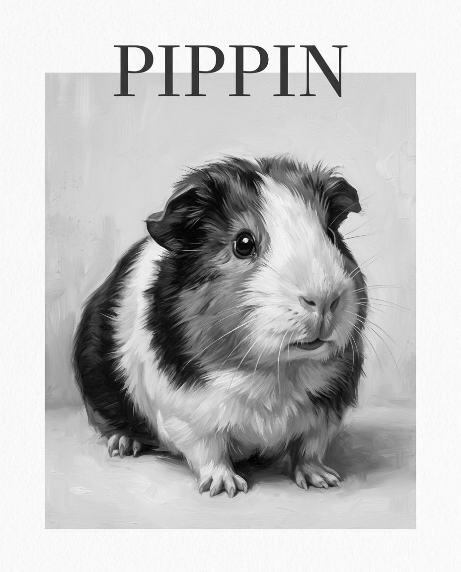 The Editorial 3